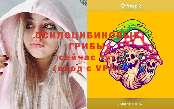 кокс Белокуриха