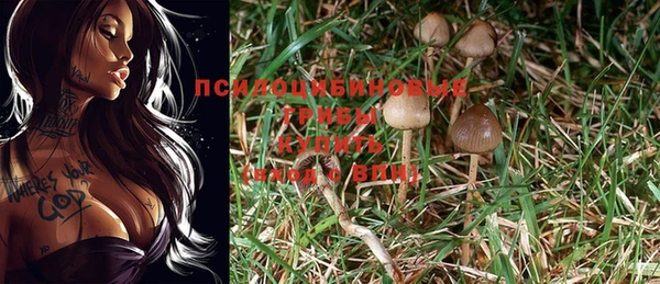 MESCALINE Беломорск