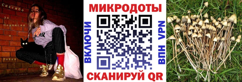 Галлюциногенные грибы GOLDEN TEACHER KRAKEN дарк нет Telegram Всеволожск