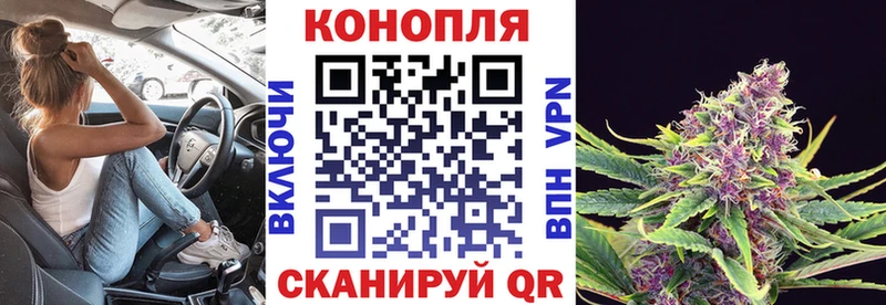 Шишки марихуана сатива что такое наркотик кракен ССЫЛКА Всеволожск
